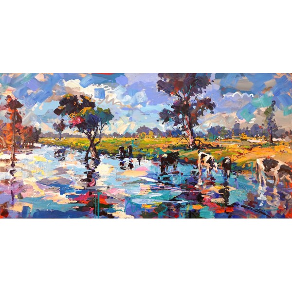 Cows in stream